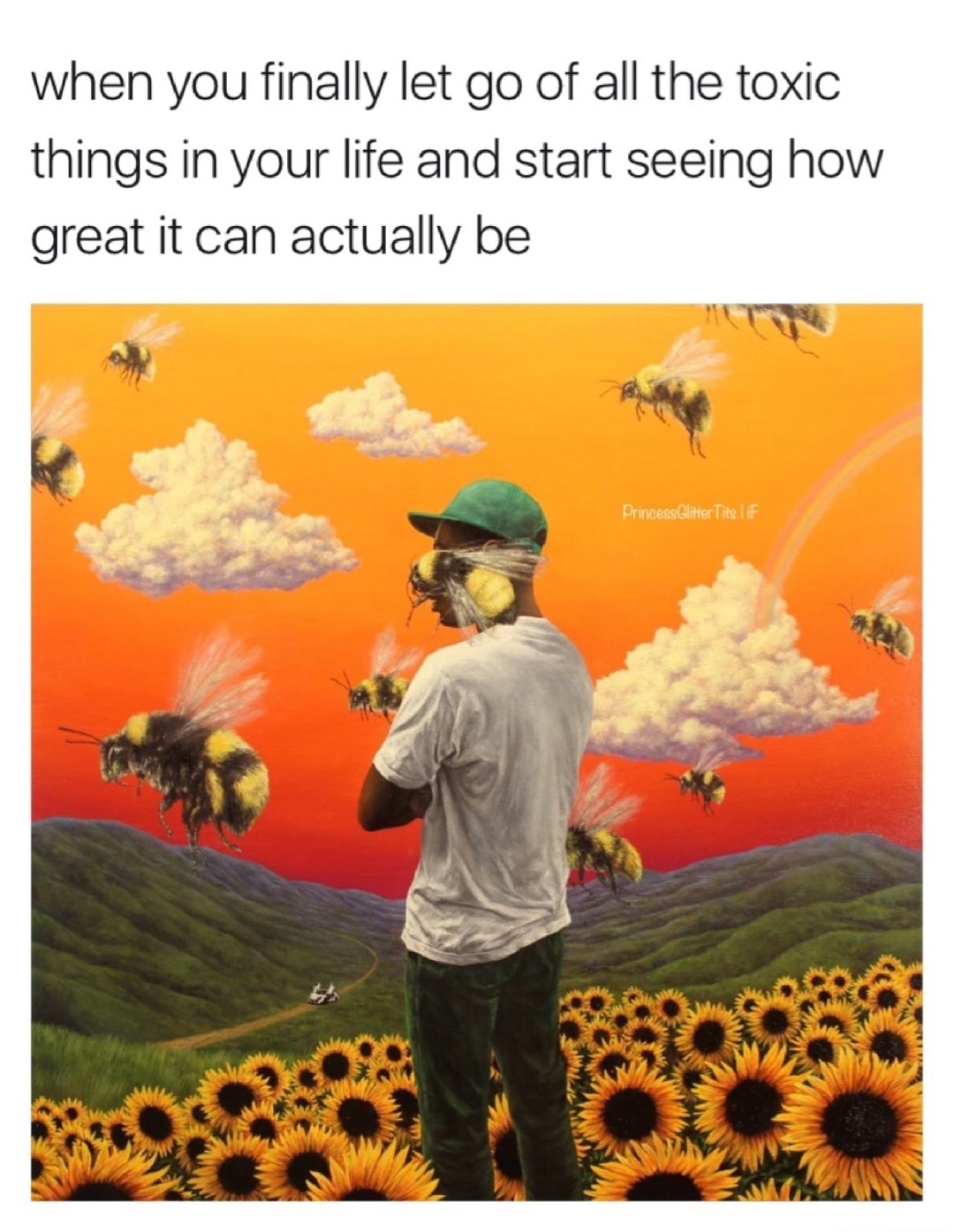 flower boy tyler the creator - when you finally let go of all the toxic things in your life and start seeing how great it can actually be PrincessGlitter Tits lif