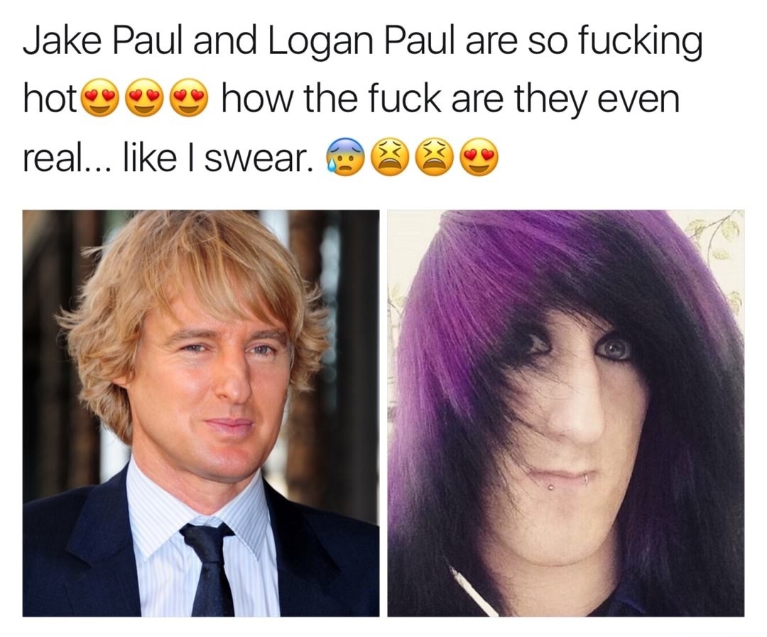 meme - jake and logan paul memes - Jake Paul and Logan Paul are so fucking hot how the fuck are they even real... I swear. Ce