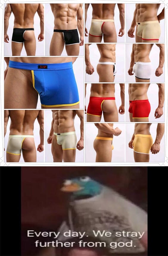 meme - briefs - Every day. We stray further from god.