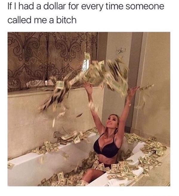 meme - bath in money - If I had a dollar for every time someone called me a bitch