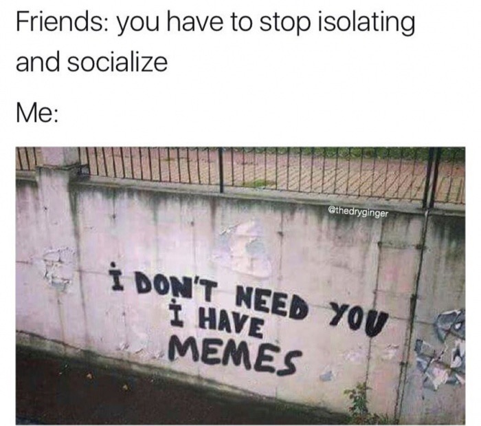 meme - don t need you i have memes - Friends you have to stop isolating and socialize Me I Don'T Need You, I Have Memes