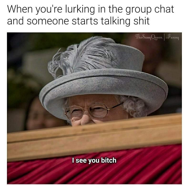 meme - photo caption - When you're lurking in the group chat and someone starts talking shit The SassyQueen | iFunny I see you bitch