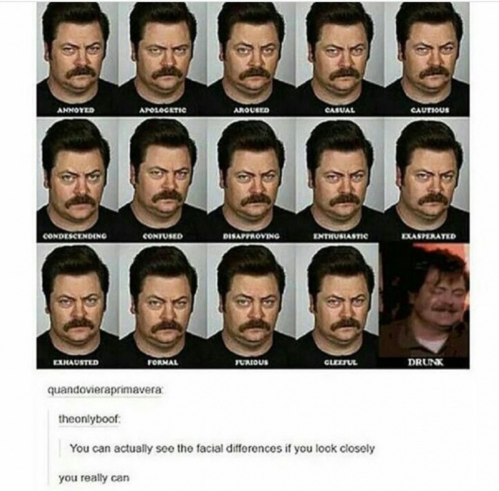many faces of ron swanson - Annoyed Anologetic Aroused Casual Cautious Condescendino Contused Disapproving Enthusiastic Exasperated Exkausted Formal Yurious Cudetul Drunk quandovieraprimavera theonlyboof You can actually see the facial differences if you 
