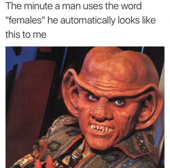 quark ferengi - The minute a man uses the word "females" he autom...