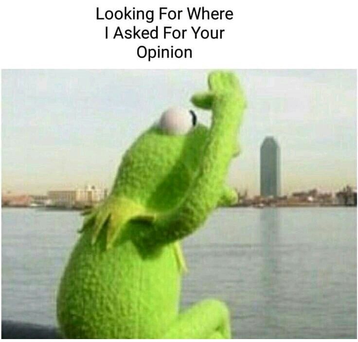 kermit the frog meme - Looking For Where | Asked For Your Opinion