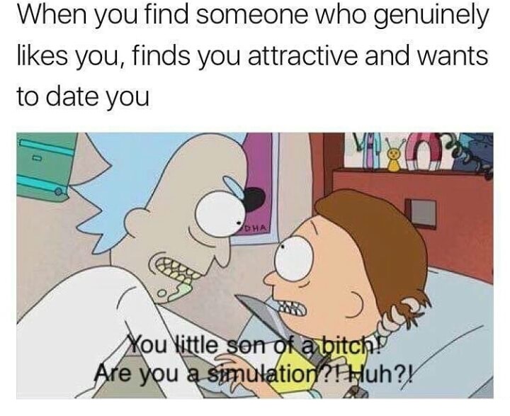 rick and morty simulation meme - When you find someone who genuinely you, finds you attractive and wants to date you Dha You Yittle son of a bitch Are you a simulation?? Huh?
