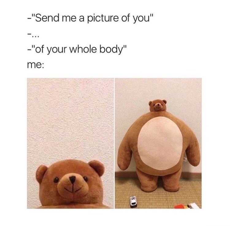 send me a picture of you meme - "Send me a picture of you" "of your whole body" me