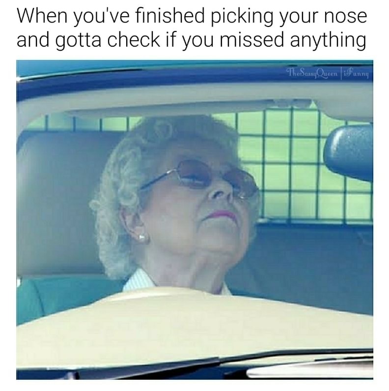queen elizabeth lipstick - When you've finished picking your nose and gotta check if you missed anything The SaaaQueen iFunny