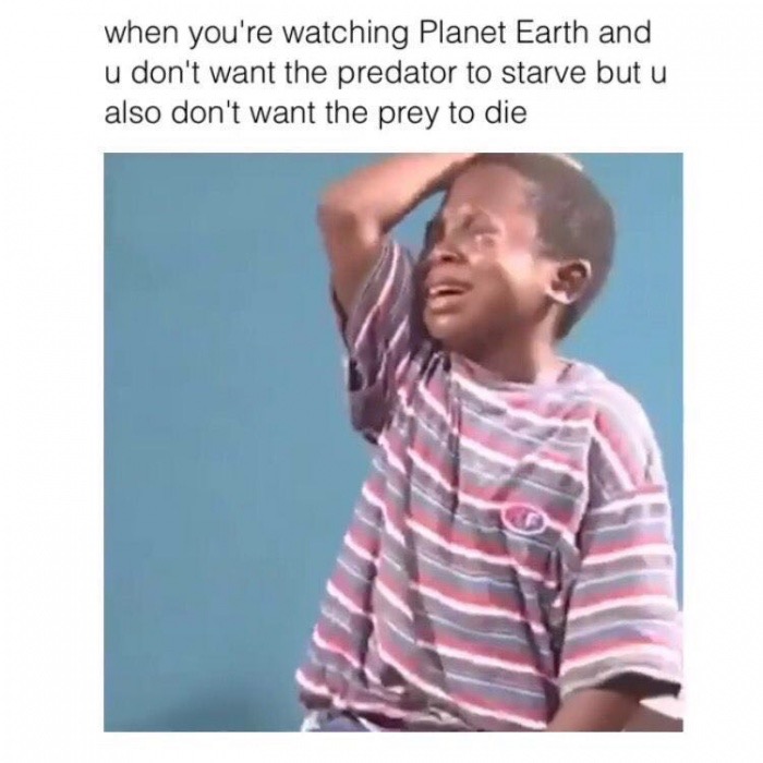 infj memes - when you're watching Planet Earth and u don't want the predator to starve but u also don't want the prey to die