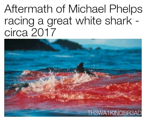 blood on the water - Aftermath of Michael Phelps racing a great white shark circa 2017 TH3WA1KINGBR3AD
