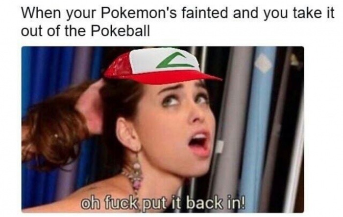 adult memes - When your Pokemon's fainted and you take it out of the Pokeball oh fuck put it back in!