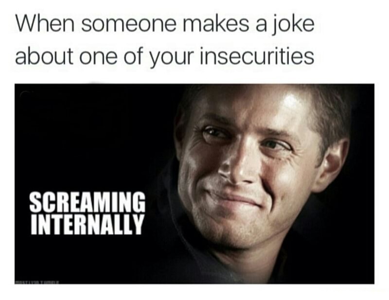 dank meme photo caption - When someone makes a joke about one of your insecurities Screaming Internally