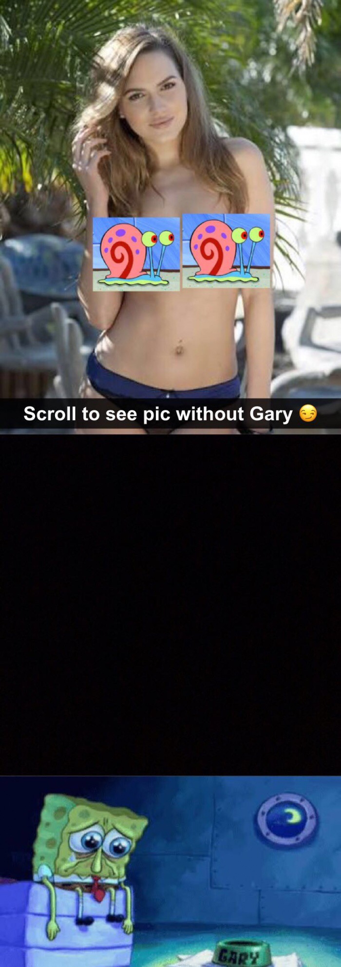 dank meme swipe to see a pic without gary - 1914914 Scroll to see pic without Gary Gary