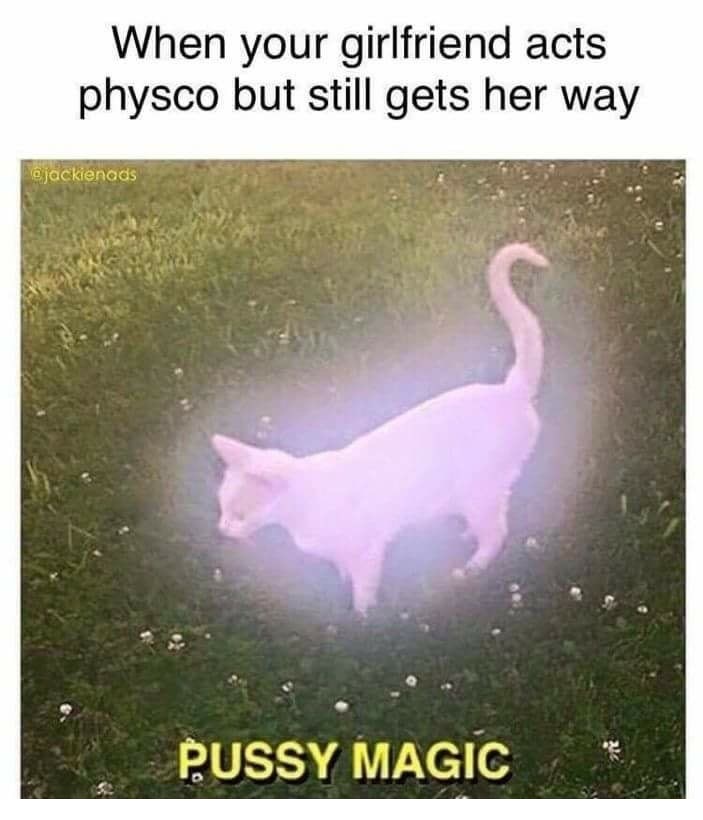 dank meme funny af cat meme - When your girlfriend acts physco but still gets her way ejackienads Pussy Magic
