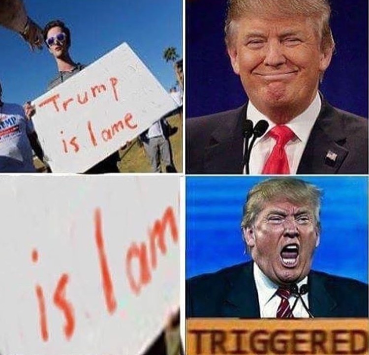 dank meme triggered memes - Trump Ump is lame Triggered