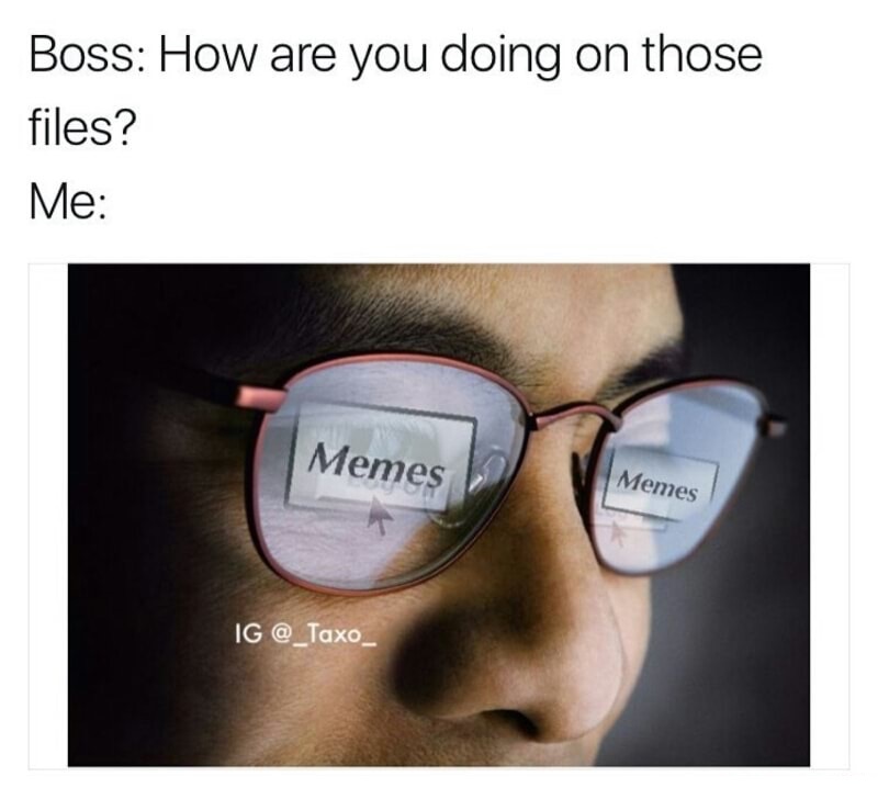 dank meme glasses - Boss How are you doing on those files? Me Memes | Memes Memes Ig