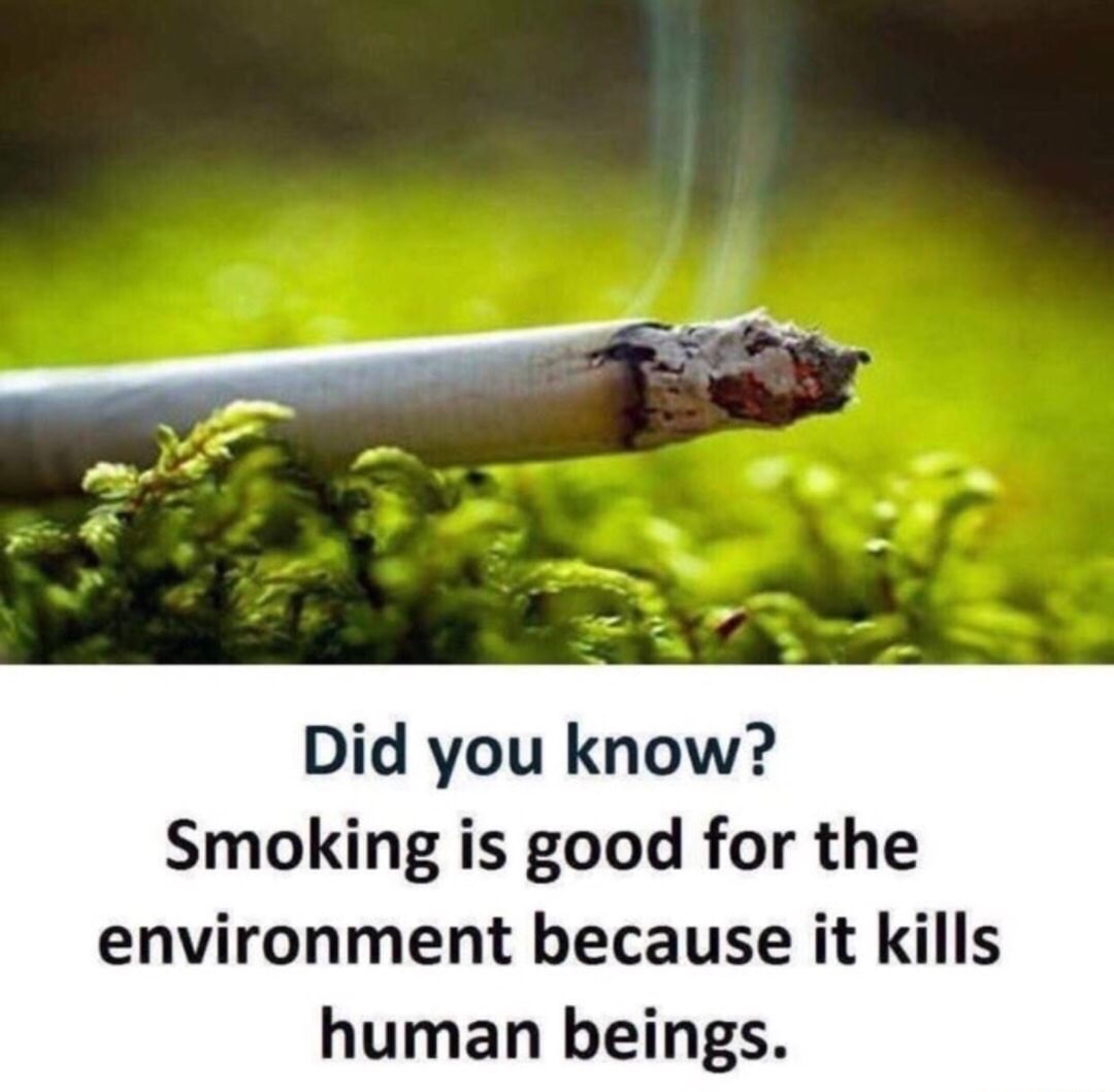 dank meme cigarettes are good for the environment - Did you know? Smoking is good for the environment because it kills human beings.