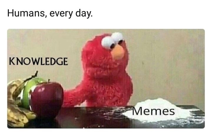 stop tagging me in memes - Humans, every day. Knowledge Memes