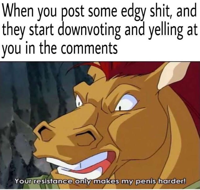 your resistance only makes me harder horse - When you post some edgy shit, and they start downvoting and yelling at you in the Your resistance only makes my penis harder!