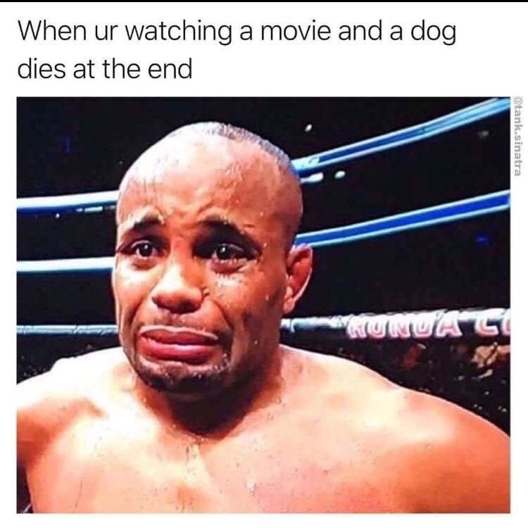cormier crying meme - When ur watching a movie and a dog dies at the end .sinatra Unuh