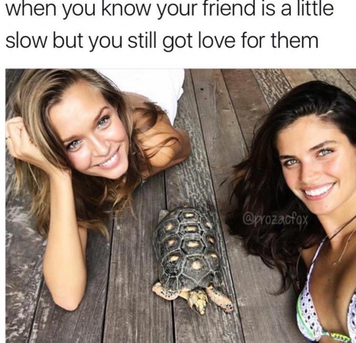 your frienda little you know meme - when you know your friend is a little slow but you still got love for them