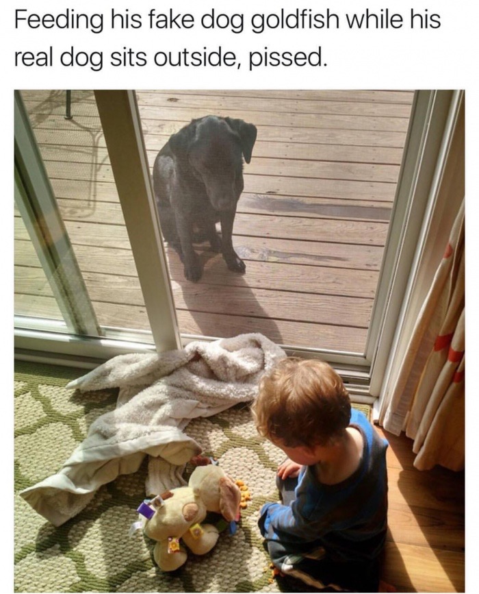 funny snaps with dogs - Feeding his fake dog goldfish while his real dog sits outside, pissed.