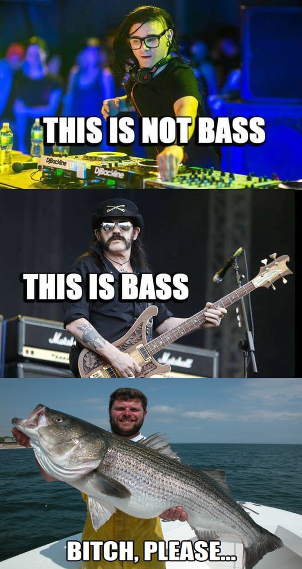 thats not bass this is bass - This Is Not Bass This Is Bass Bitch, Please.