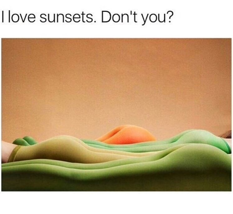 Dank meme about beautiful sunsets but these sunsets are women's shapely backsides painting a sunset.