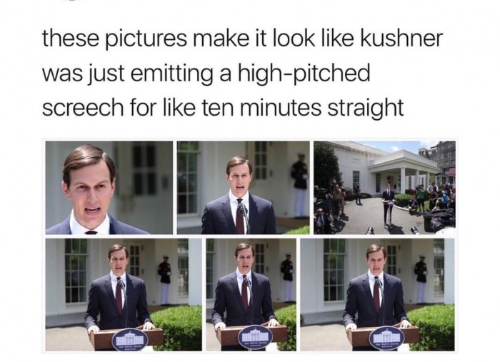 Dank meme of 6 pictures that make it look like Jared Kushner is emitting a high pitched screech for 10 mintues