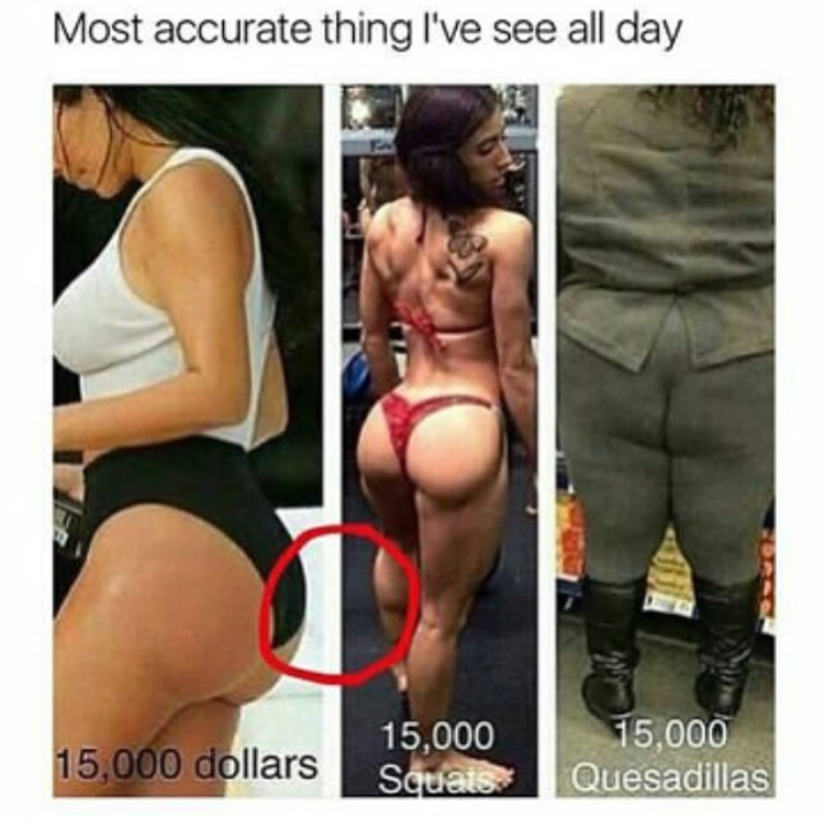 15000 dollars 15000 squats 15000 quesadillas - Most accurate thing I'v...