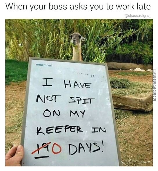 have not spit on my keeper - When your boss asks you to work late .reigns remember! MemeCenter.com I Have Not S On My Keeper In Ito Days!