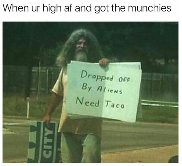 dropped off by aliens need taco - When ur high af and got the munchies Dropped off By Aliens Need Taco