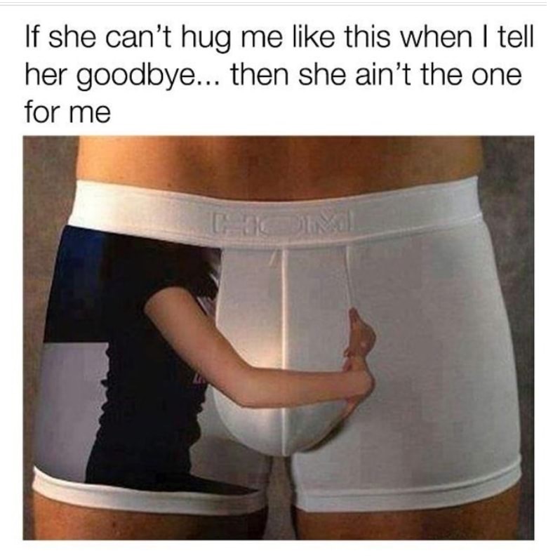 Savage memes - of a your jealous girlfriend buys you underwear - If she can't hug me this when I tell her goodbye... then she ain't the one for me