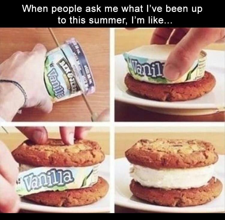 Savage memes - of a diy ice cream sandwich - When people ask me what I've been up to this summer, I'm ... Vanil Vanilla Bereits "Vanilla