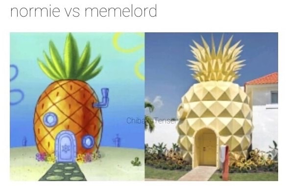 Savage memes - of a spongebob pineapple in real life