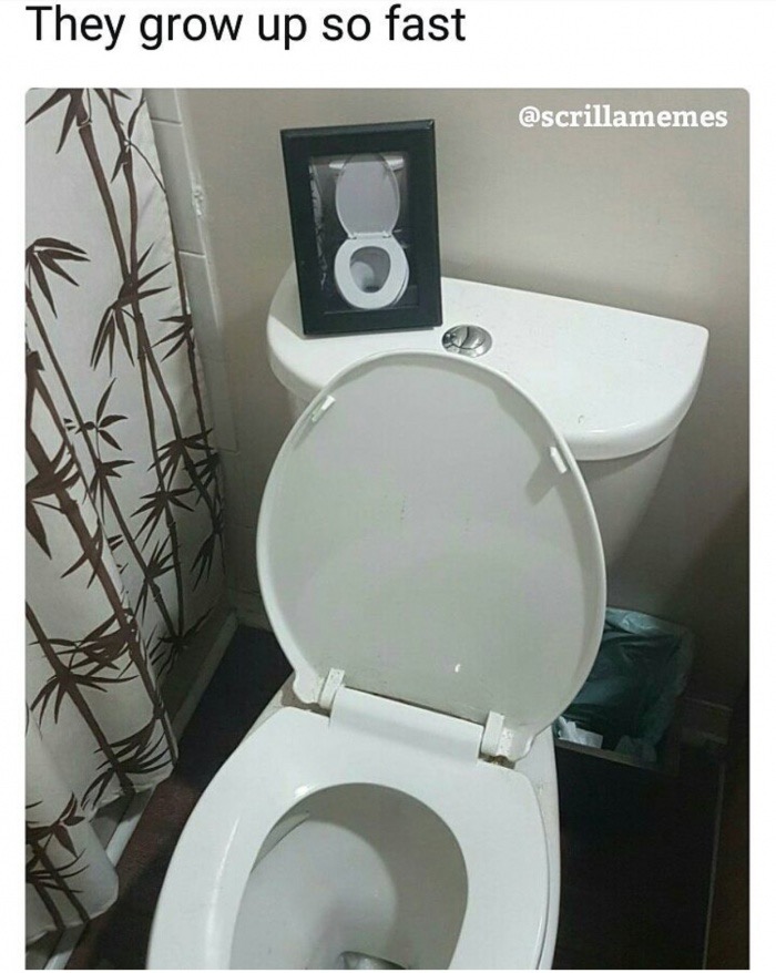 Savage memes - of a toilet seat - They grow up so fast