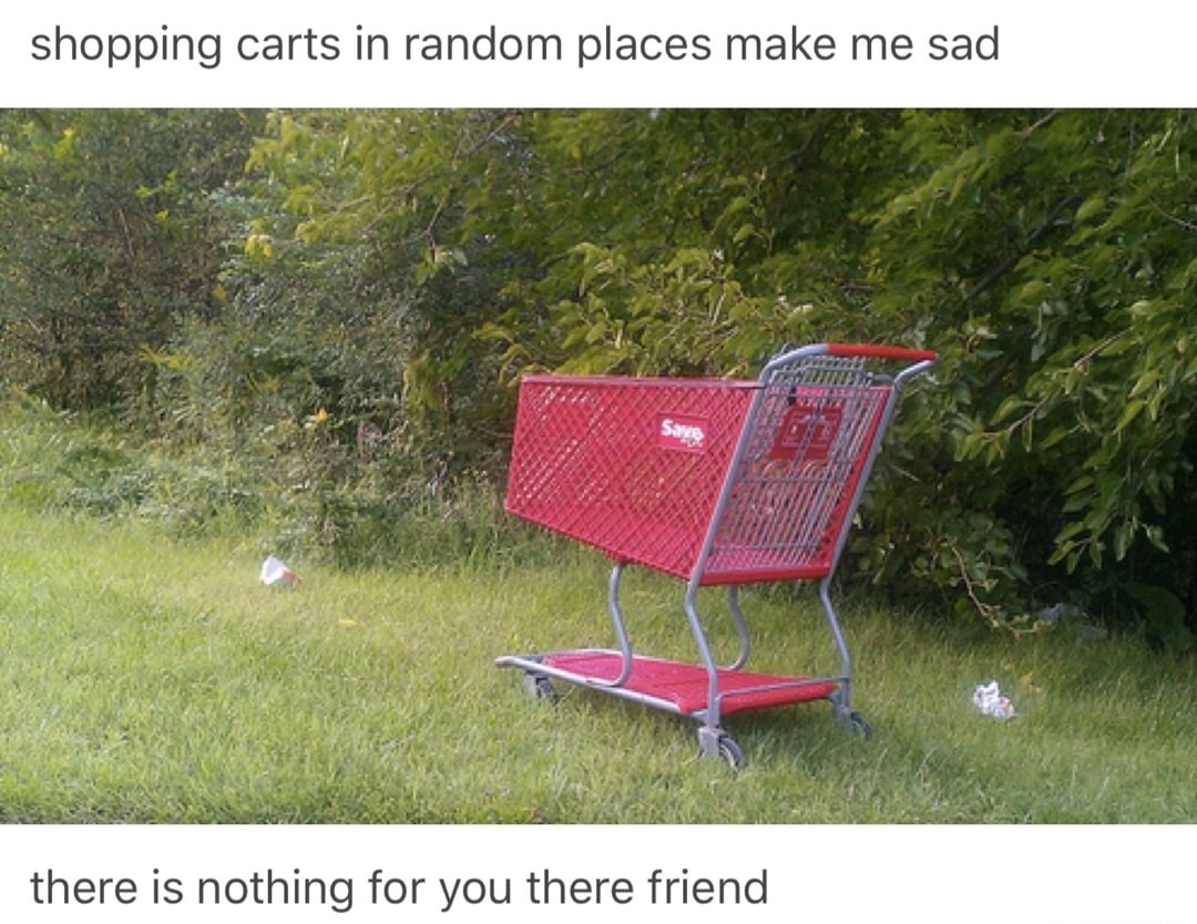 Savage memes - of a shopping carts in random places - shopping carts in random places make me sad there is nothing for you there friend
