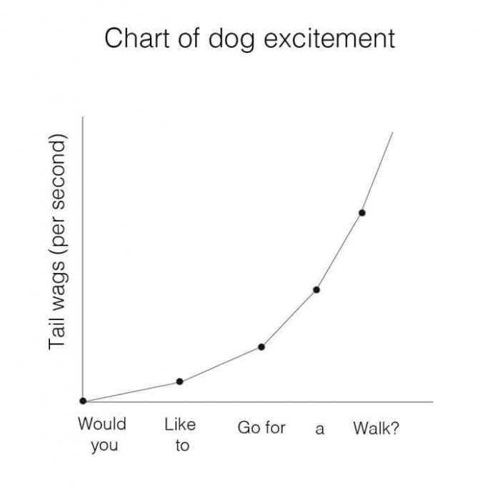 Savage memes - of a plot - Chart of dog excitement Tail wags per second Would Go for a Walk? you to
