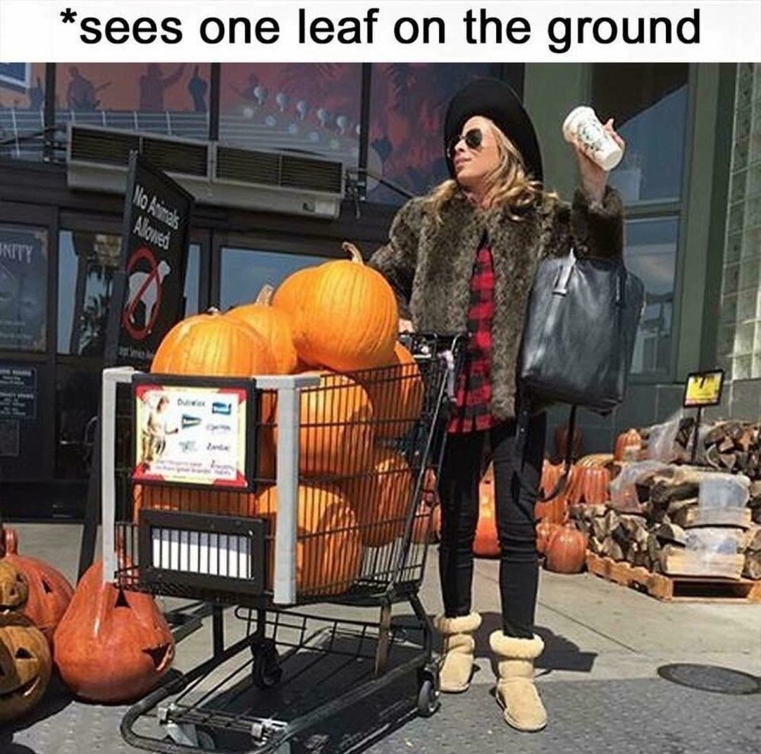 43 Fresh Memes That Will Help You Kick Monday in the Balls