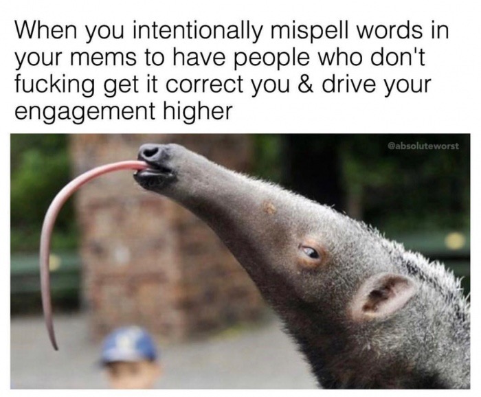 anteater mouth open - When you intentionally mispell words in your mems to have people who don't fucking get it correct you & drive your engagement higher