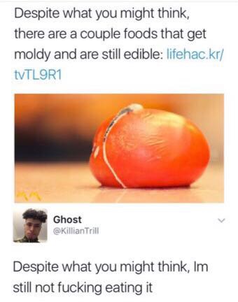 orange - Despite what you might think, there are a couple foods that get moldy and are still edible lifehac.kr EVTL9R1 Ghost Trill Despite what you might think, Im still not fucking eating it