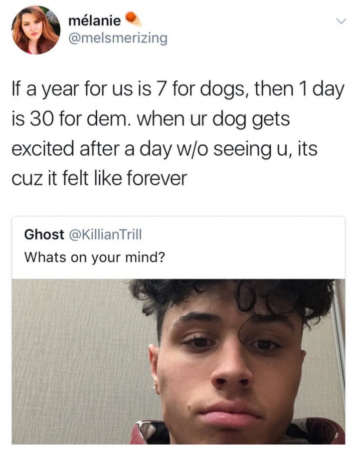 memes - whats on your mind memes - mlanie If a year for us is 7 for dogs, then 1 day is 30 for dem. when ur dog gets excited after a day wo seeing u, its cuz it felt forever Ghost Trill Whats on your mind?