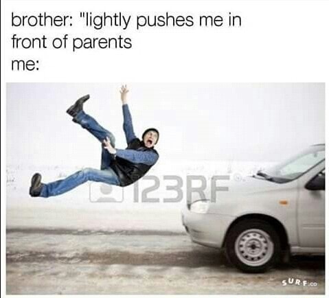 memes - brother "lightly pushes me in front of parents me 23RF Sure.Co