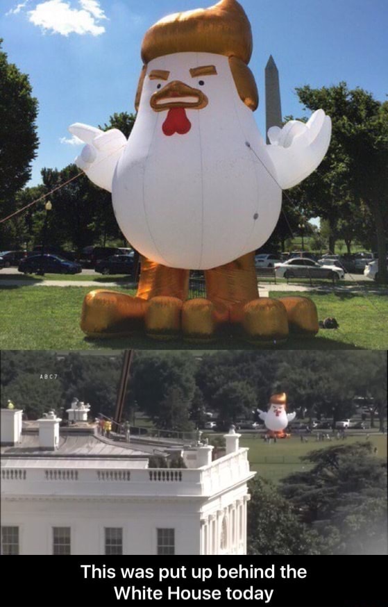 tommy likey tommy want wingy - 1111 1111111 1 111111! !!!!!! This was put up behind the White House today