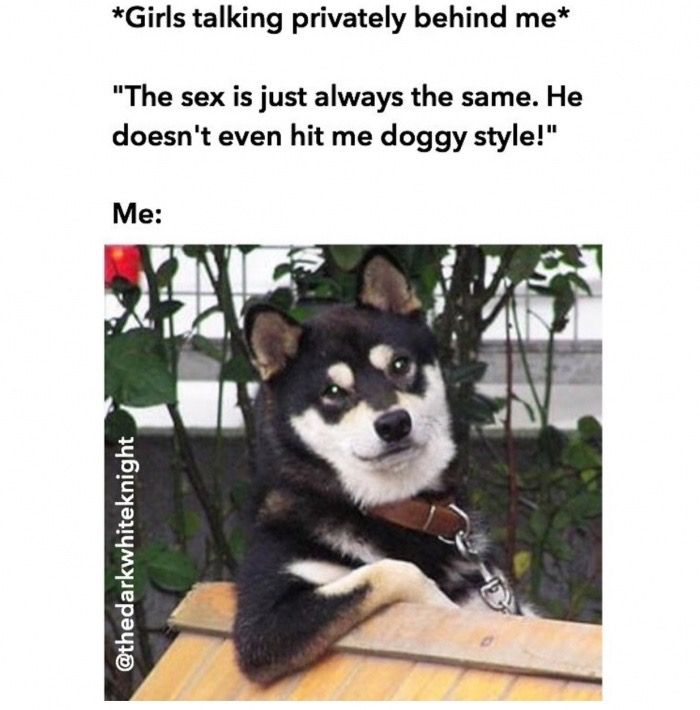 cool dog - Girls talking privately behind me "The sex is just always the same. He doesn't even hit me doggy style!" Me