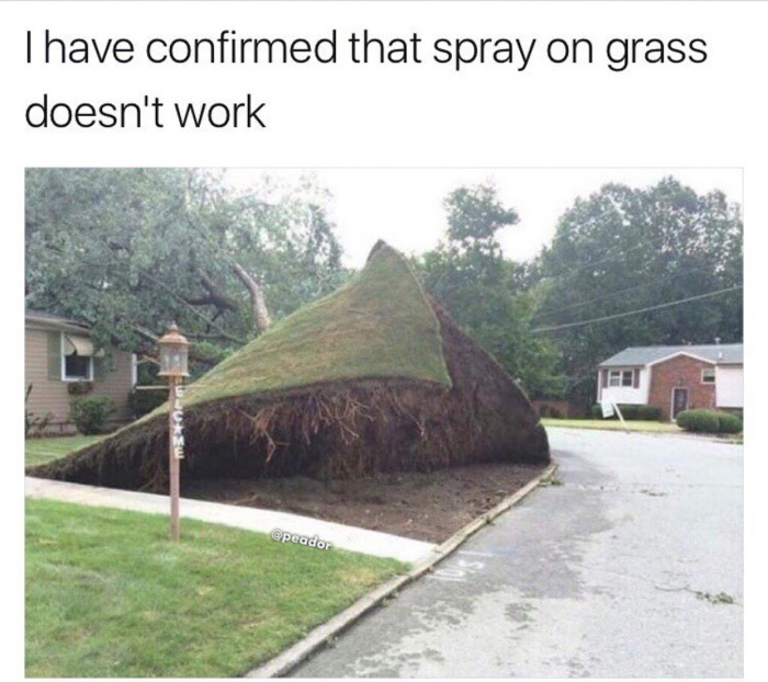 70 mph wind - I have confirmed that spray on grass doesn't work