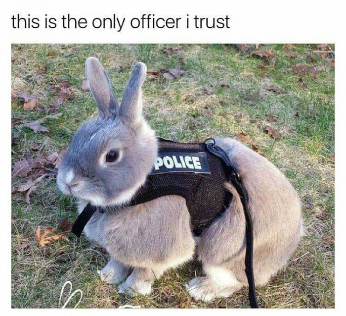 memes - only officer i trust - this is the only officer i trust Police