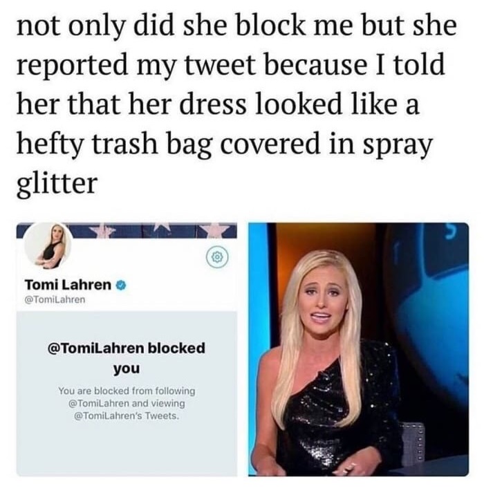 Man tweets about how Tomi Lahren blocked him because he said her dress looks like a hefty trash back sprinkled with glitter.