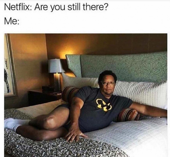 Funny meme of how it feels when Netflix asks Are You Still There