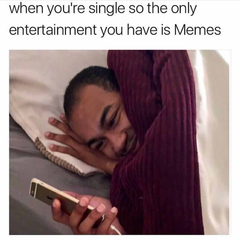 Meme of being single and hiding under the covers with your meme which is the only entertainment you have.